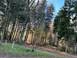 AH-Winterwanderung_2023